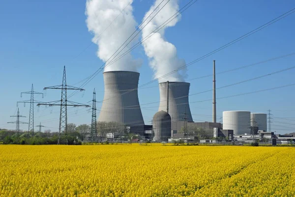 Jaderná Elektrárna Řepkové Pole — Stock fotografie