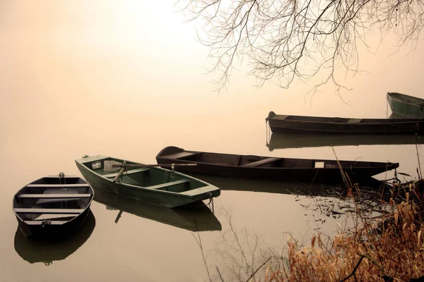 Rýn Jednou Hlavních Evropských Řek Která Své Prameny Švýcarsku Teče — Stock fotografie