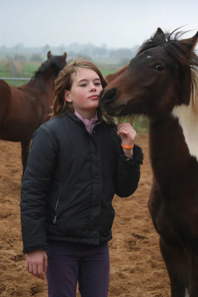 Mujer Joven Con Caballo Campo — Foto de Stock