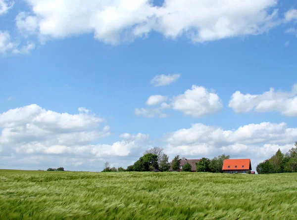 Living Countryside — Stock Photo, Image