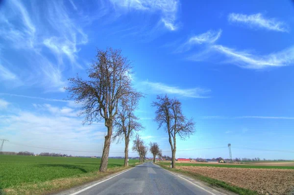 Schöne Aussicht Auf Die Natur — Stockfoto