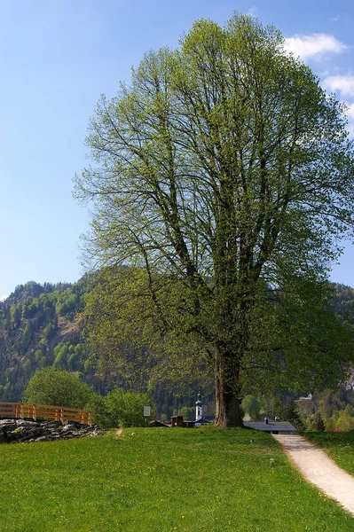 Szenischer Blick Auf Die Christliche Kirchenarchitektur — Stockfoto