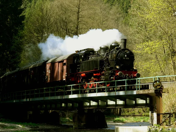 森林里的旧蒸汽机车 — 图库照片
