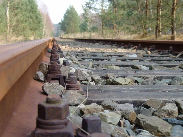 Rails Train Vides Sur Terrain — Photo