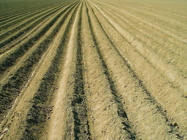 Vista Panoramica Dell Agricoltura Campagna — Foto Stock