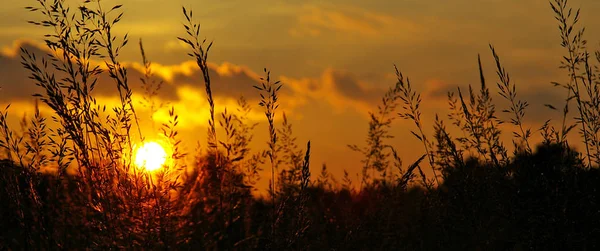 Schöner Blick Auf Den Warmen Abend — Stockfoto