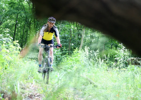 Mujer Joven Montando Bicicleta Bosque — Foto de Stock