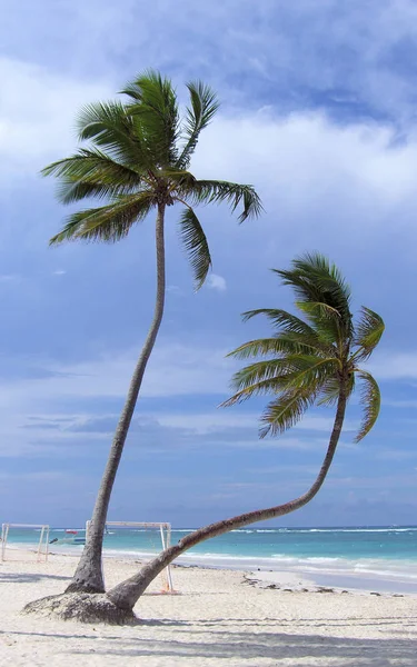 Schöne Aussicht Auf Die Natur — Stockfoto