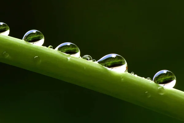 Mal Regen Mal Sonne Ist Fast Wie April Aber Auch — Stockfoto