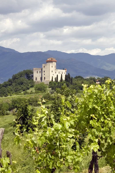 Camino Del Vino Chianti — Foto de Stock