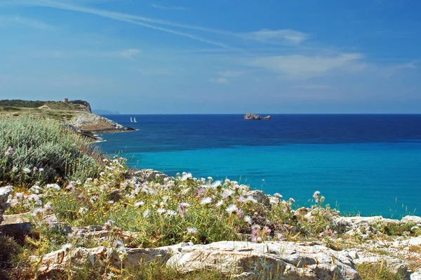 Mallorca Majorca นหน งในหม เกาะ Balearic ของสเปนในทะเลเมด เตอร เรเน — ภาพถ่ายสต็อก