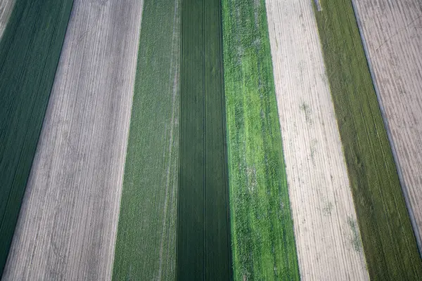 Campo Rural Terreno Agrícola — Foto de Stock