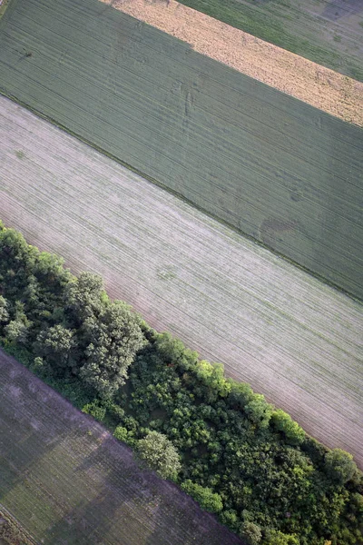 Campo Rural Terreno Agrícola — Foto de Stock