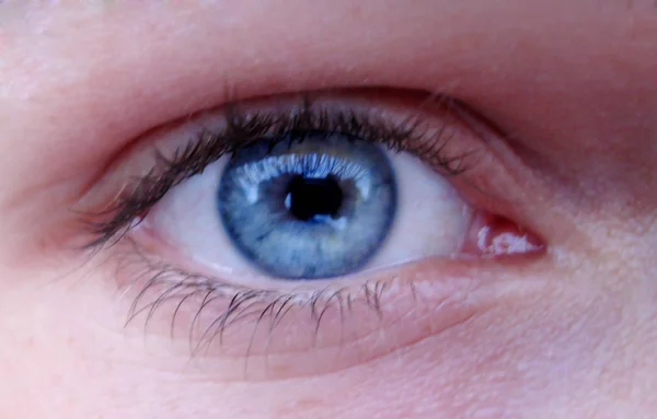 Primer Plano Del Ojo Humano Con Ojos Azules —  Fotos de Stock