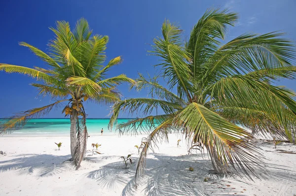 Hermoso Paisaje Playa Tropical — Foto de Stock