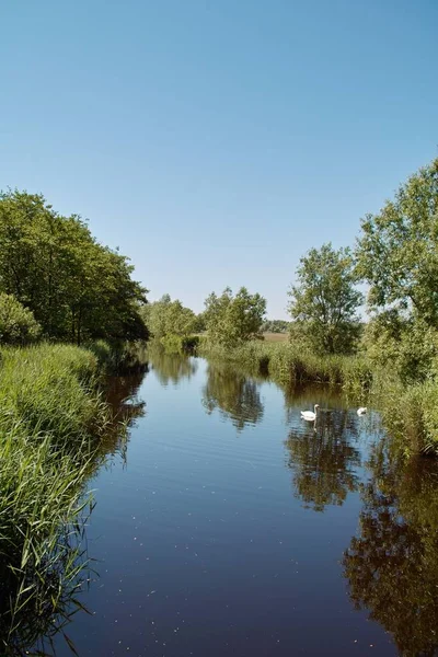 Malá Řeka Niendorfu Před Ptačím Parkem — Stock fotografie