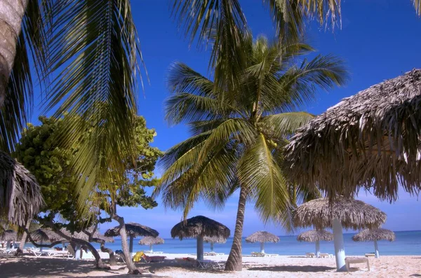 Bela Paisagem Tropical Praia — Fotografia de Stock