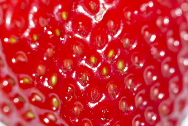 Comida Vegetariana Foco Seletivo — Fotografia de Stock