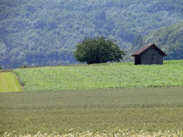 Αγρός Υπαίθρου Γεωργική — Φωτογραφία Αρχείου