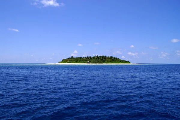 Pérola Oceano Índio — Fotografia de Stock