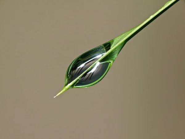 Abstrakcyjny Waterdrop Kolorowe Tło — Zdjęcie stockowe