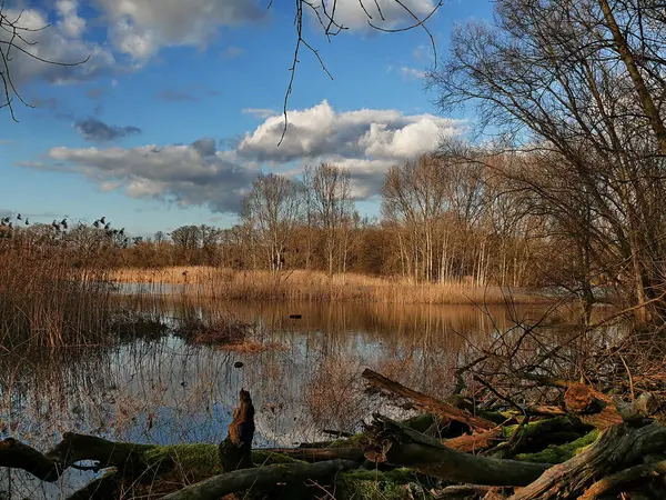 Piękny Widok Krajobraz Rzeki — Zdjęcie stockowe