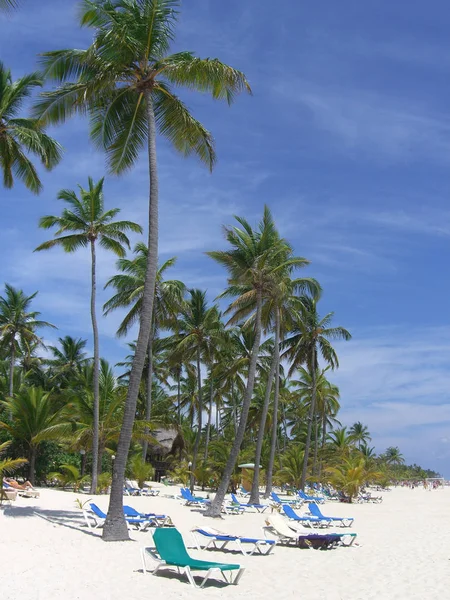 Hermoso Paisaje Playa Tropical —  Fotos de Stock