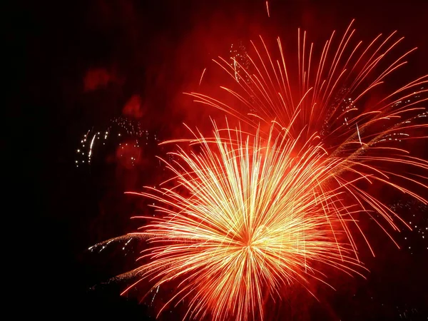 Feiertagsfeuerwerk Explosion Nachthimmel Feier — Stockfoto