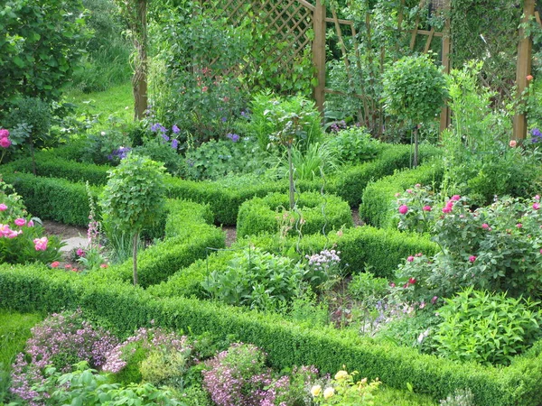 Piękne Botaniczne Ujęcie Naturalna Tapeta — Zdjęcie stockowe