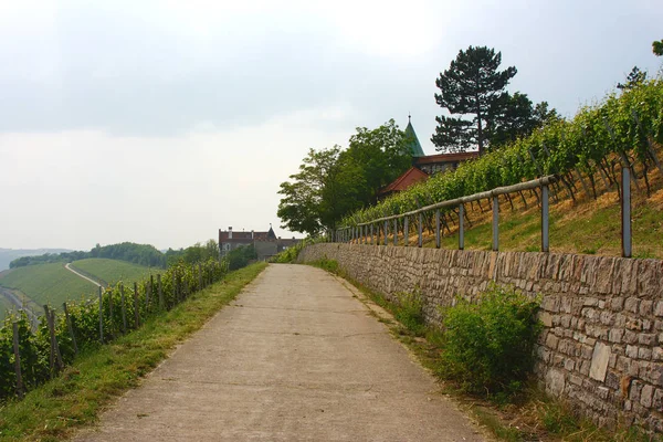 Naturskön Syn Jordbruket Landsbygden — Stockfoto