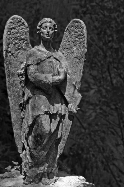 Chemin Étroit Travers Jardin Monastère Lluc Est Chemin Parcourir Grands — Photo