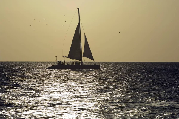 Hajó Karibi Térségben — Stock Fotó