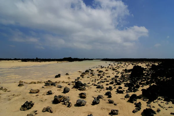 Lanzarote Avec Une Différence — Photo