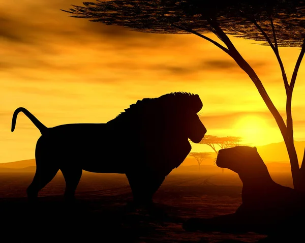 Seride Aslanlar Romantik Bir Akşam Gezintisinde Kaybolmayabilirler — Stok fotoğraf