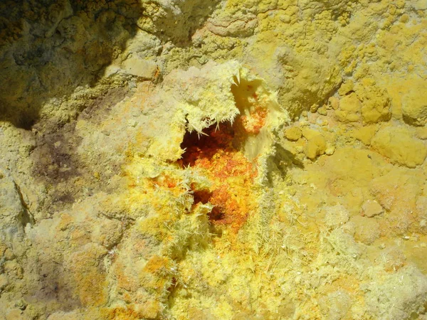 Υποβρύχια Άποψη Του Κοραλλιογενή Ύφαλο — Φωτογραφία Αρχείου