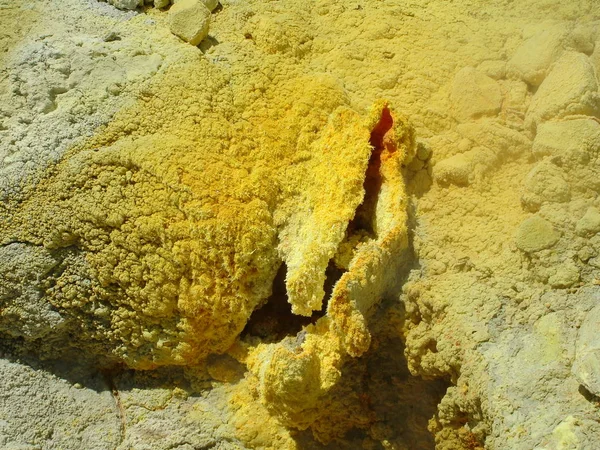 Κίτρινο Ψάρι Στο Σπήλαιο — Φωτογραφία Αρχείου
