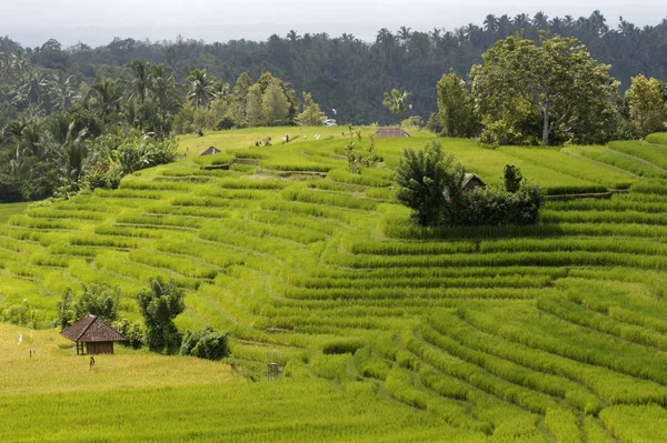 Scenic View Countryside Selective Focus — Stock Photo, Image