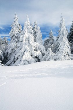 snow-covered winter landscape clipart