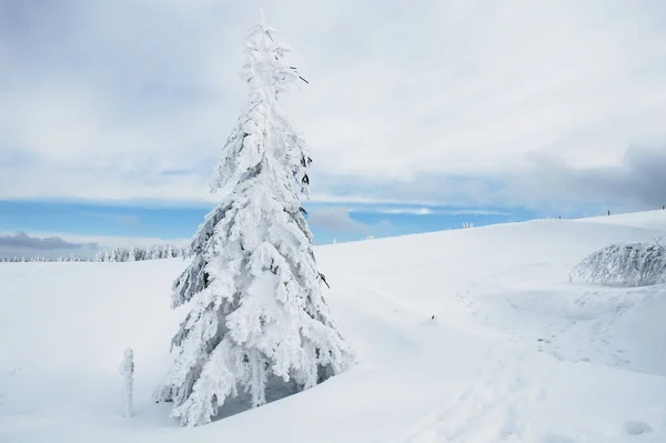 Snow Covered Winter Landscape — Stock Photo, Image