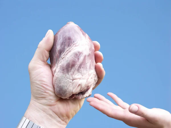 Organspende Das Herz Der Hand — Stockfoto