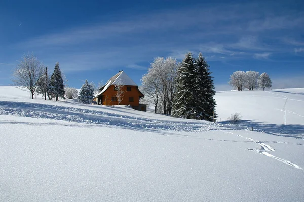 Paysage Hivernal Enneigé — Photo