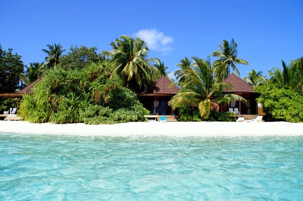 Dream Holiday Maldives Island — Stock Photo, Image