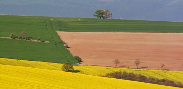 Kırsal Alanın Güzel Manzarası — Stok fotoğraf