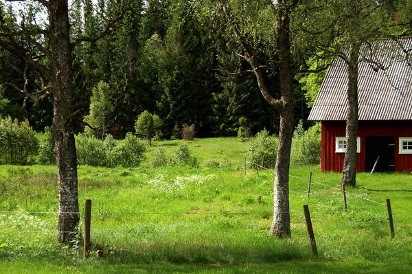 Kan Mooi Vakantie Zijn — Stockfoto