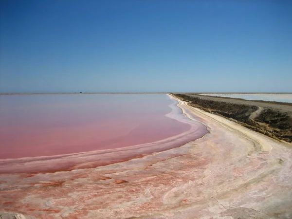 Veduta Del Paesaggio Desertico Namibia — Foto Stock