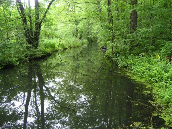 Schöne Aussicht Auf Die Natur — Stockfoto