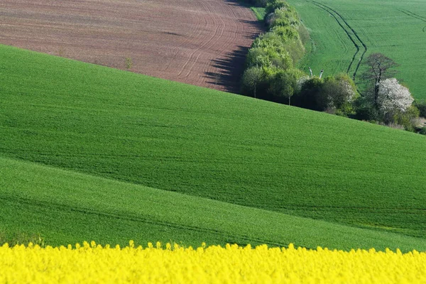 Krásný Výhled Venkovskou Oblast — Stock fotografie