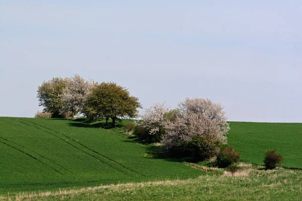 Door Lente Heen — Stockfoto