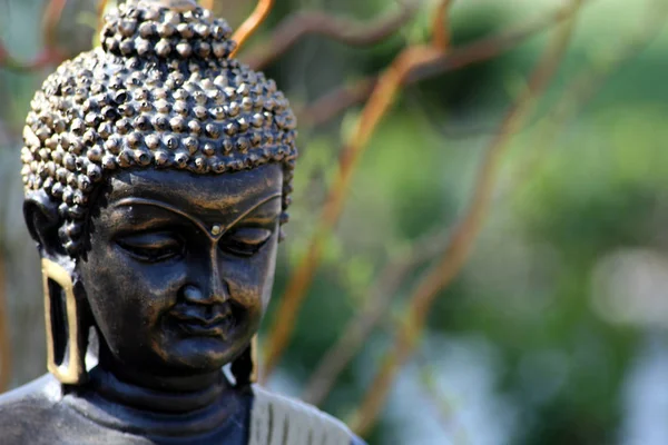 Духовность Буддизм Гаутама Будда — стоковое фото