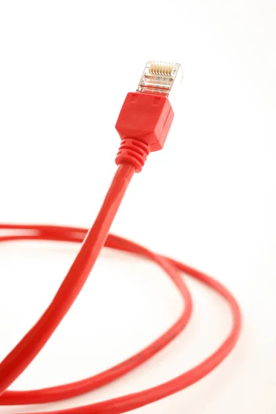 Hálózati Kábel — Stock Fotó